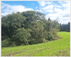  2024Ÿ��11759 ���� ���ֽ� ��õ�� �ͻ긮 1271-4      ����(��1)���