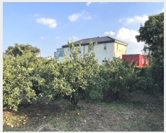  2024Ÿ11858    긮 1188      ()