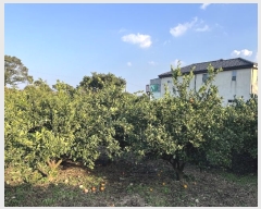  2024Ÿ11858    긮 1188      ()