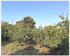  2024Ÿ11858    긮 1188      ()