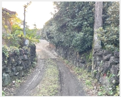  2024Ÿ11858    긮 1188      ()