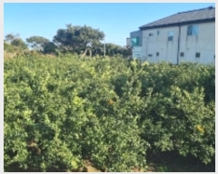  2024Ÿ11858    긮 1188      ()