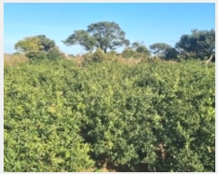  2024Ÿ11858    긮 1188      ()