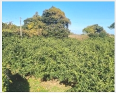  2024Ÿ11858    긮 1188      ()