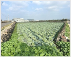  2024Ÿ��11933  ���������