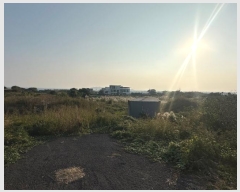  2024Ÿ12110   ȴ 踮 333      (1)