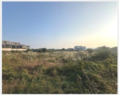  2024Ÿ12110   ȴ 踮 333      (1)