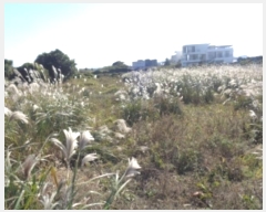  2024Ÿ12110   ȴ 踮 333      (1)