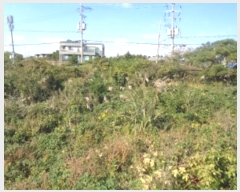  2024Ÿ12110   ȴ 踮 333      (1)