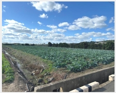  2024Ÿ12721  ֽ Ѱ 긮 3126-8      (1)