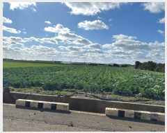  2024Ÿ12721  ֽ Ѱ 긮 3126-8      (1)