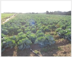  2024Ÿ12721  ֽ Ѱ 긮 3126-8      (1)