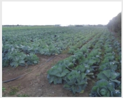  2024Ÿ12721  ֽ Ѱ 긮 3126-8      (1)