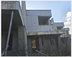  2024Ÿ��13106  �����