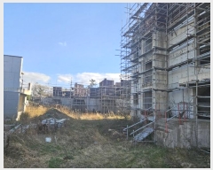  2024Ÿ��13106  �����