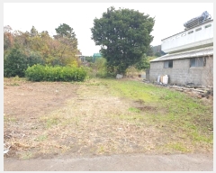  2024Ÿ13199   ǥ 긮 1356-10      (1)