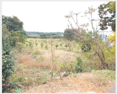  2024Ÿ13199   ǥ 긮 1356-10      (1)