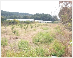  2024Ÿ13199   ǥ 긮 1356-10      (1)