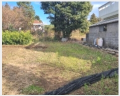  2024Ÿ13199   ǥ 긮 1356-10      (1)