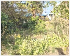  2024Ÿ13199   ǥ 긮 1356-10      (1)