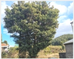  2024Ÿ13199   ǥ 긮 1356-10      (1)