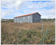  2024Ÿ��13281 ���� �������� �ȴ��� ȭ���� 522      ����,â�����