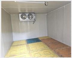  2024Ÿ��13281 ���� �������� �ȴ��� ȭ���� 522      ����,â�����