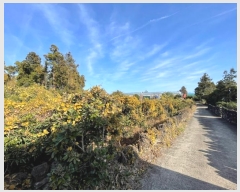  2024Ÿ��13649  �����