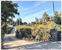  2024Ÿ��13649  �����