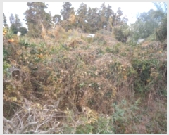  2024Ÿ��13649  �����