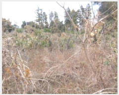  2024Ÿ��13649  �����