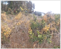  2024Ÿ��13649  �����