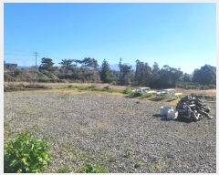  2024Ÿ23493   ȴ 踮 725-1      ()