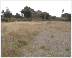  2024Ÿ23493   ȴ 踮 725-1      ()