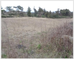  2024Ÿ23493   ȴ 踮 725-1      ()