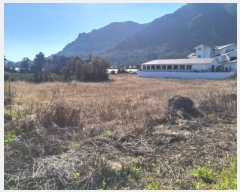  2024Ÿ23493   ȴ 踮 725-1      ()