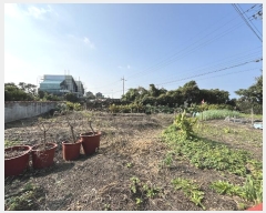  2024Ÿ30118  ֽ  븮 8-53      (1)