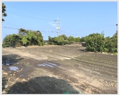  2024Ÿ30118  ֽ  븮 8-53      (1)