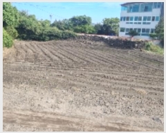  2024Ÿ30118  ֽ  븮 8-53      (1)