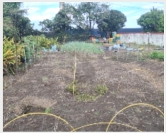  2024Ÿ30118  ֽ  븮 8-53      (1)