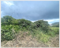  2024Ÿ31791  ֽ 쵵  271-2      (1)