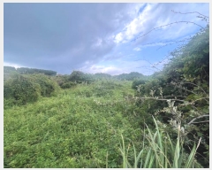  2024Ÿ31791  ֽ 쵵  271-2      (1)