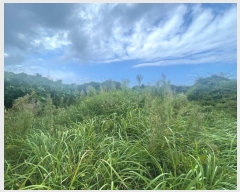  2024Ÿ31791  ֽ 쵵  271-2      (1)