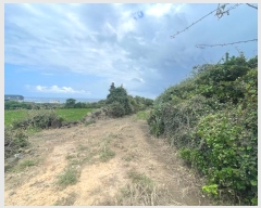  2024Ÿ31791  ֽ 쵵  271-2      (1)