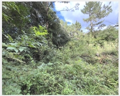  2024Ÿ��32060 ���� ���ֽ� �Ѹ��� �ݾǸ� 893-1      ����(�Ӿ�)���