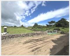  2024Ÿ��32060 ���� ���ֽ� �Ѹ��� �ݾǸ� 893-1      ����(�Ӿ�)���