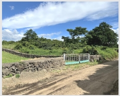  2024Ÿ��32060 ���� ���ֽ� �Ѹ��� �ݾǸ� 893-1      ����(�Ӿ�)���