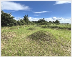  2024Ÿ��32060 ���� ���ֽ� �Ѹ��� �ݾǸ� 893-1      ����(�Ӿ�)���