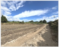  2024Ÿ��32060 ���� ���ֽ� �Ѹ��� �ݾǸ� 893-1      ����(�Ӿ�)���