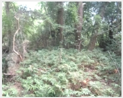  2024Ÿ��32060 ���� ���ֽ� �Ѹ��� �ݾǸ� 893-1      ����(�Ӿ�)���